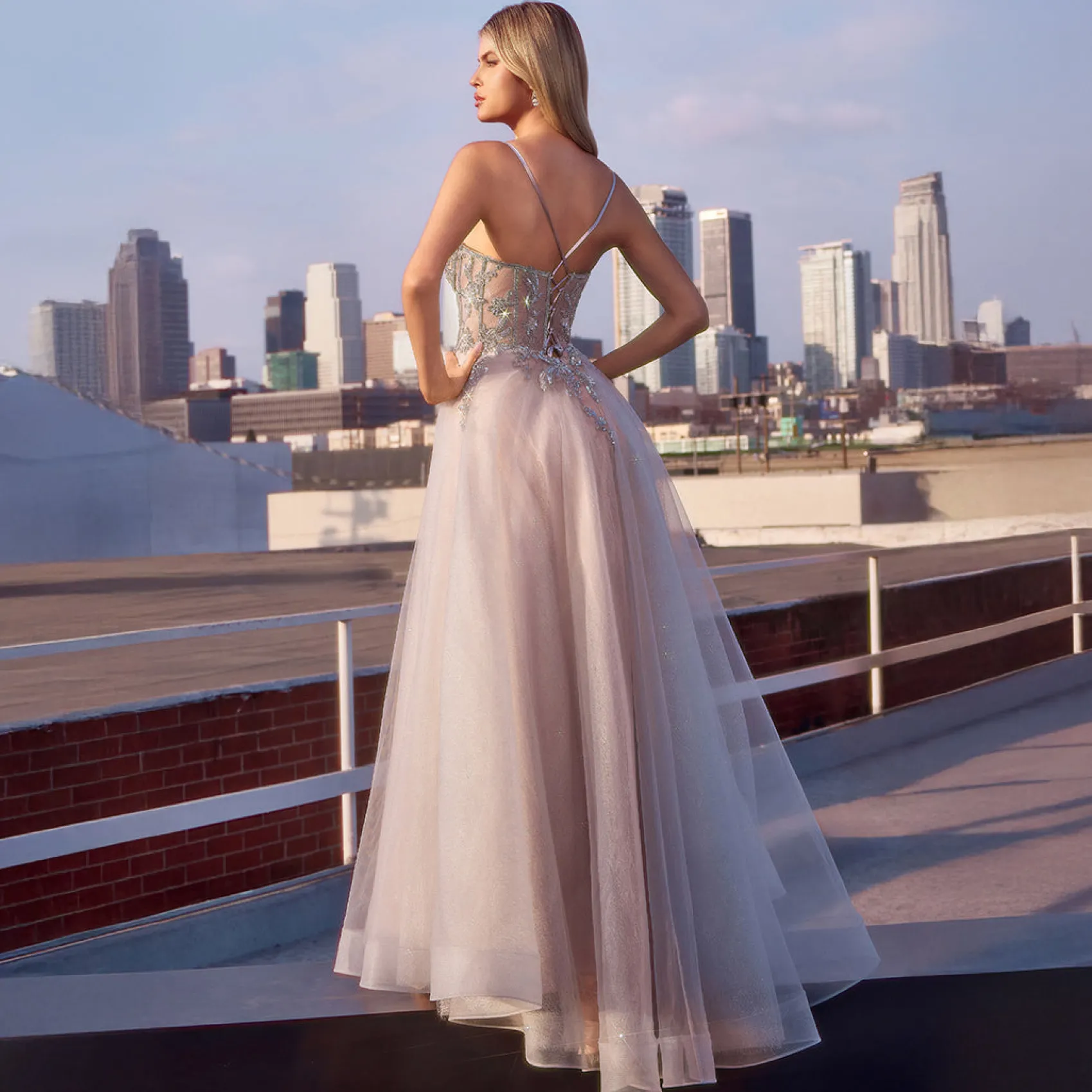 Unique Vintage Cinderella Divine Silver Nude Applique Sleeveless Tulle Prom Dress Cheap